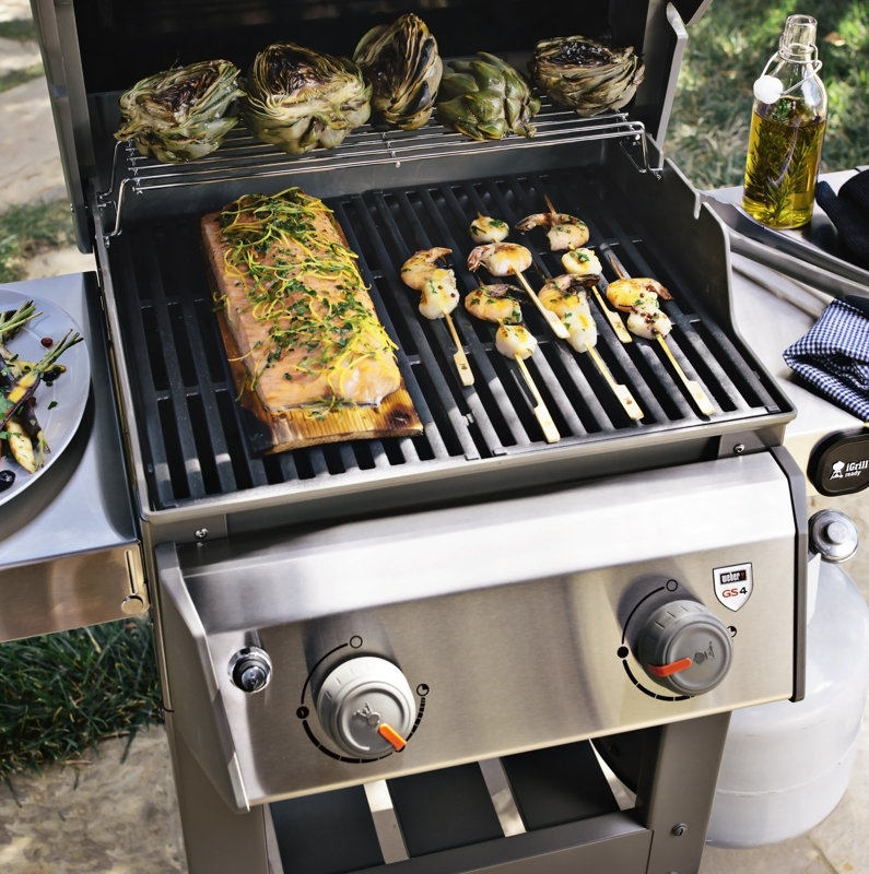 Weber Spirit II E210 2Burner Propane Gas Grill with Side Shelves & Reviews Wayfair